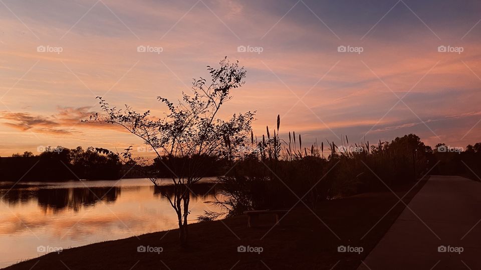 Here is the evening pic that will cast more Beautiful colours due to the northern most area where the Gray’s, Deep Blues are introduced to Twilighted evening event.