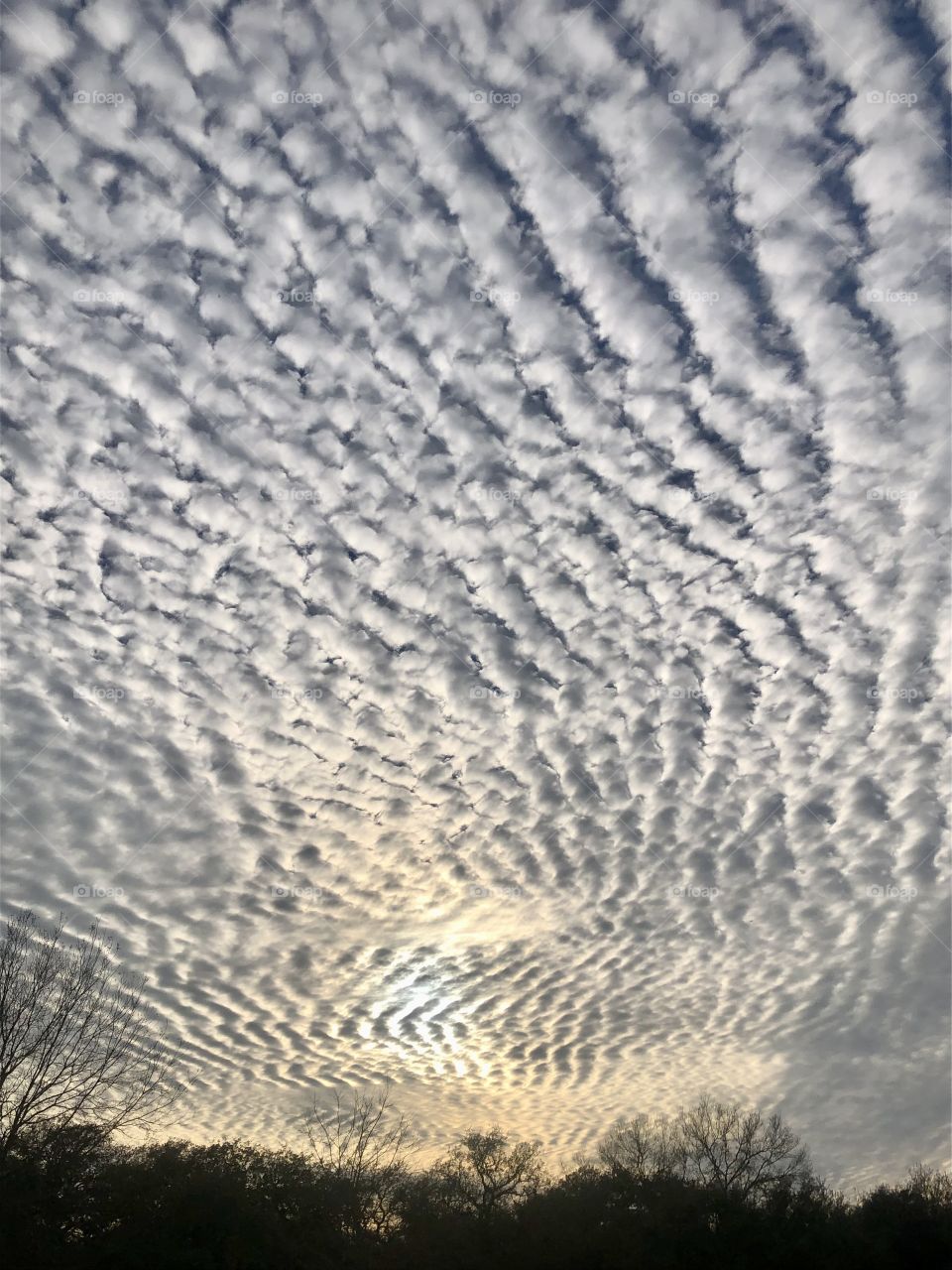 Sunset at the ranch in Texas with the most amazing clouds, rippling across the sky like a sandbar!