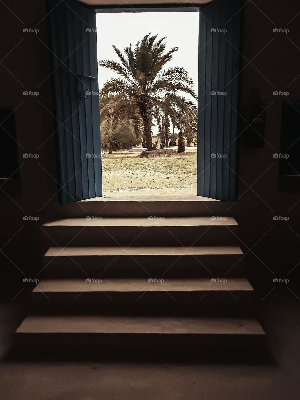 A picture from inside a traditional textile store with a low floor
The entrance is a framework for a lighted space through which a tall palm tree emerges