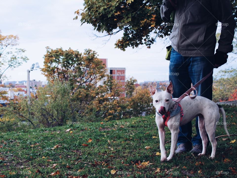 Sydney loves running around outside, she runs like a little rabbit when we play fetch or when she's chasing squirrels 