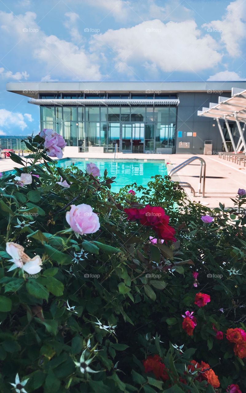Rooftop pool with a view