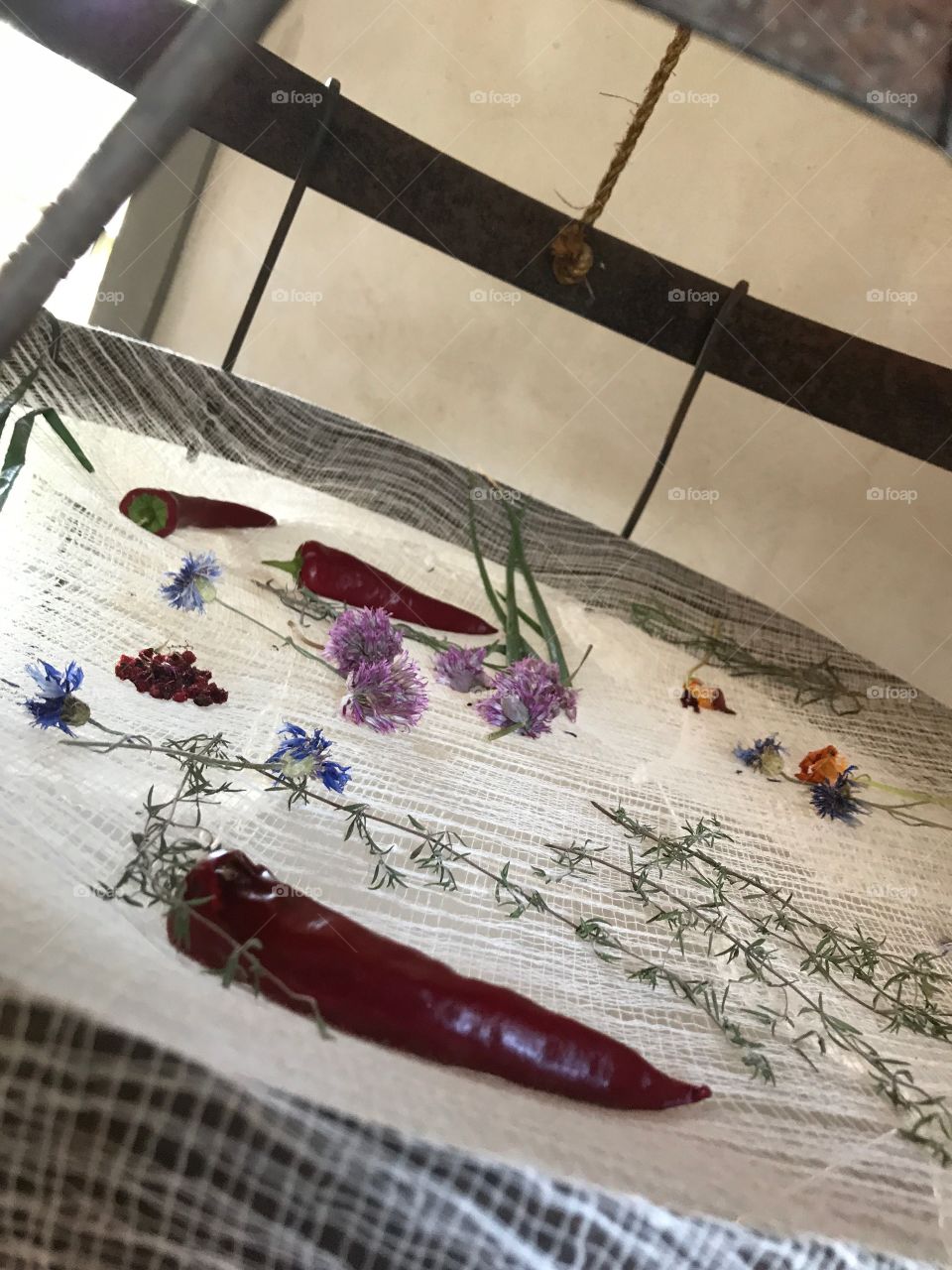 Fresh Handpicked Herbs and Flowers Drying on a Cheesecloth Rack - Dehydrating Plants the Old Fashioned Way - Open Air Livning History Museun Old World Wisconsin 