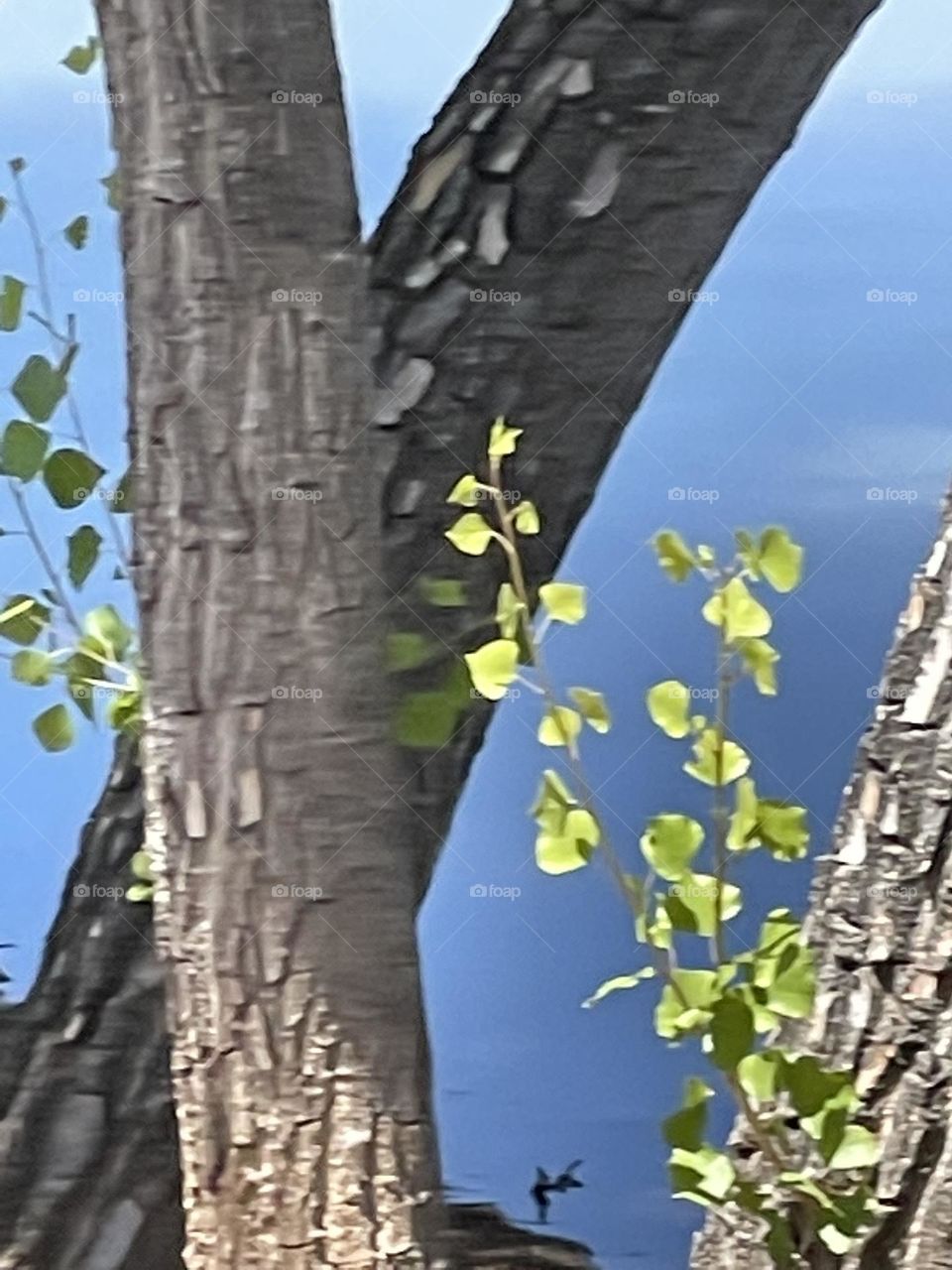 Nature is beautiful environment 