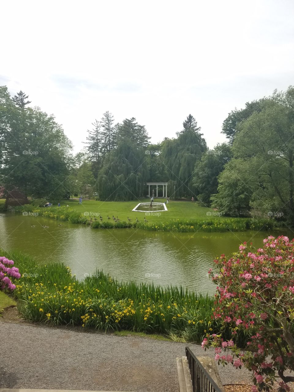 No Person, Landscape, Tree, Water, Lake