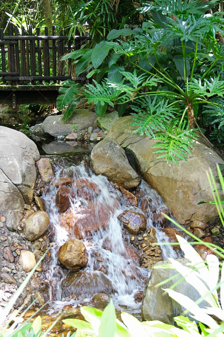 Waterfall in tropical park 