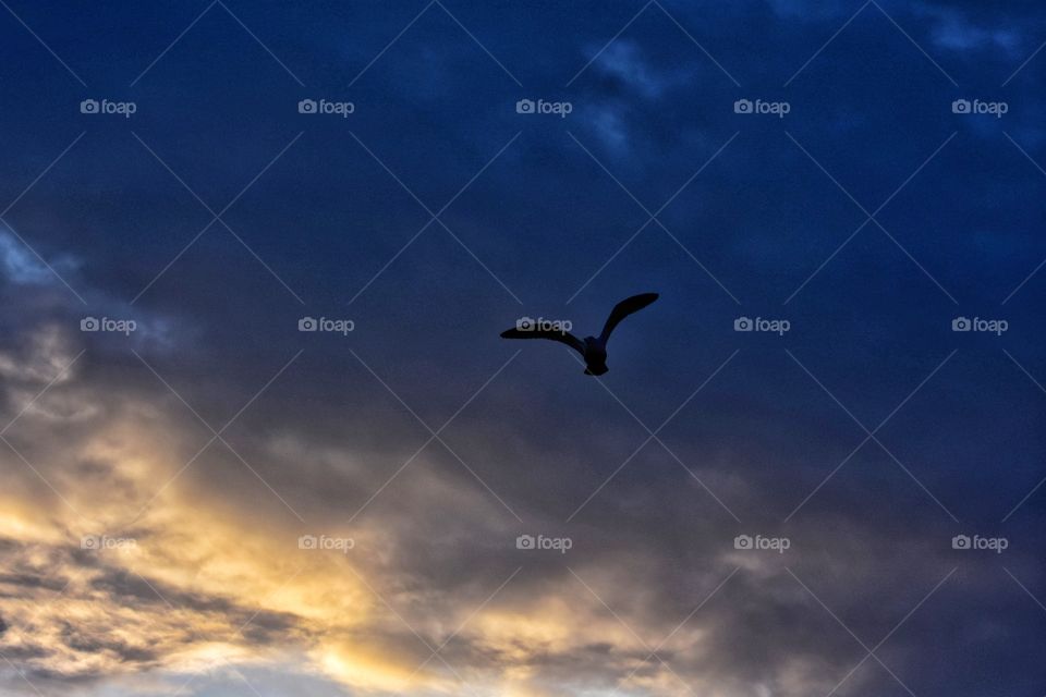 Sky, No Person, Outdoors, Sunset, Evening