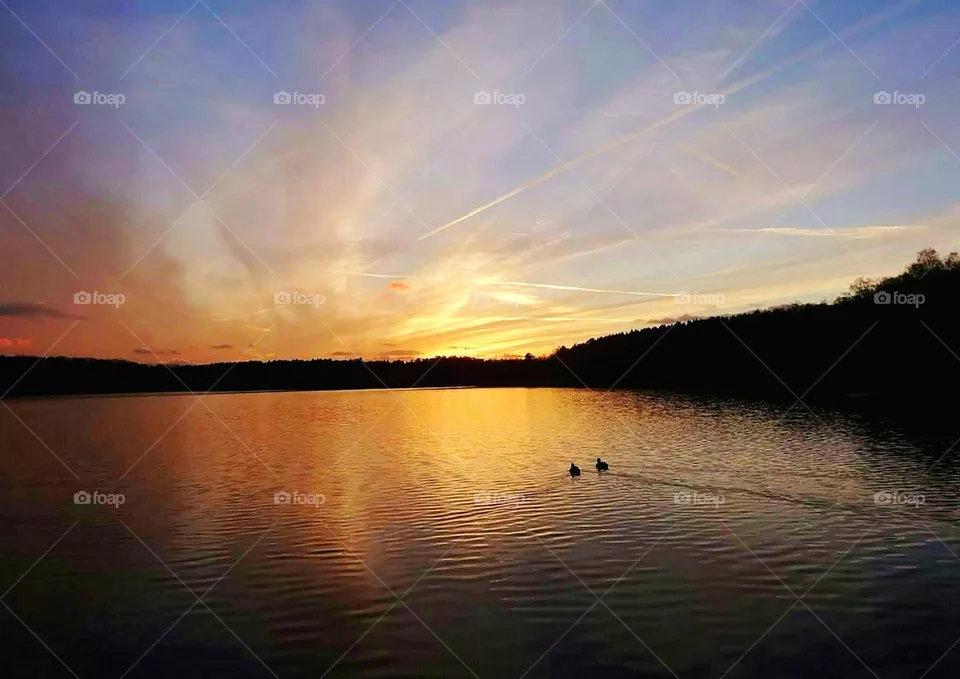 Sunset by the lake, birds swimming