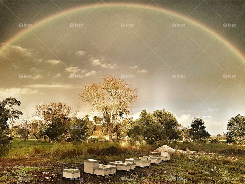 Rainbow over Bee Hives Apiary