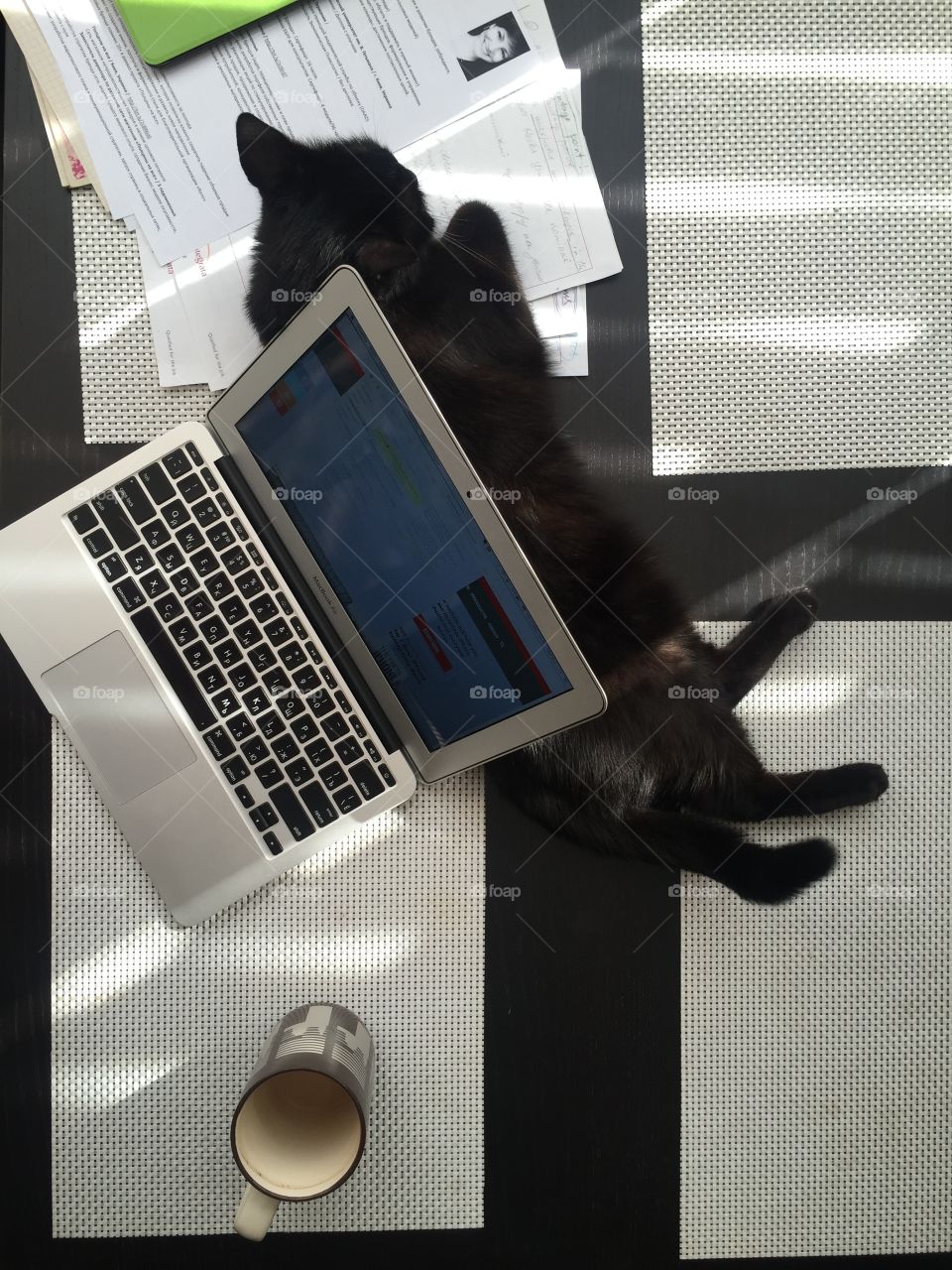 Working desk with a cat and laptop