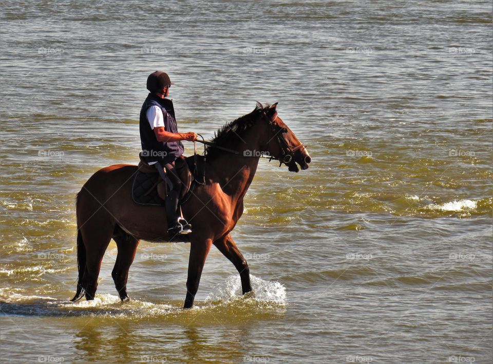 Horseriding