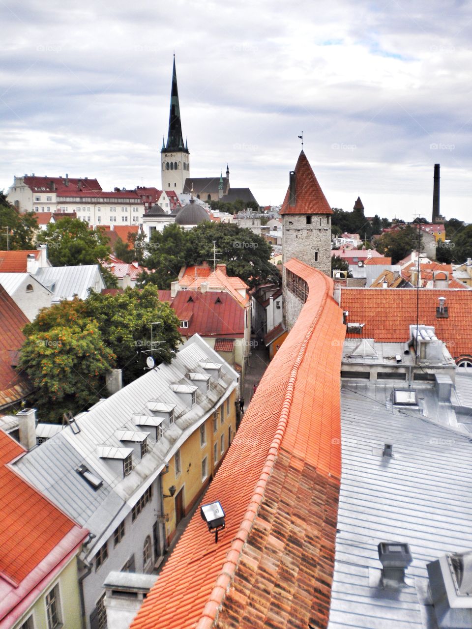 People Traveling Estonia: Tallinn