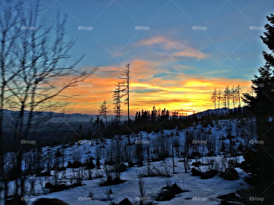 Sunset colors over the snow covered landscape. Winter presents its own special challenges. When the land is covered with a coating of snow and ice outlines branches, the outdoors are transformed into a magical place.