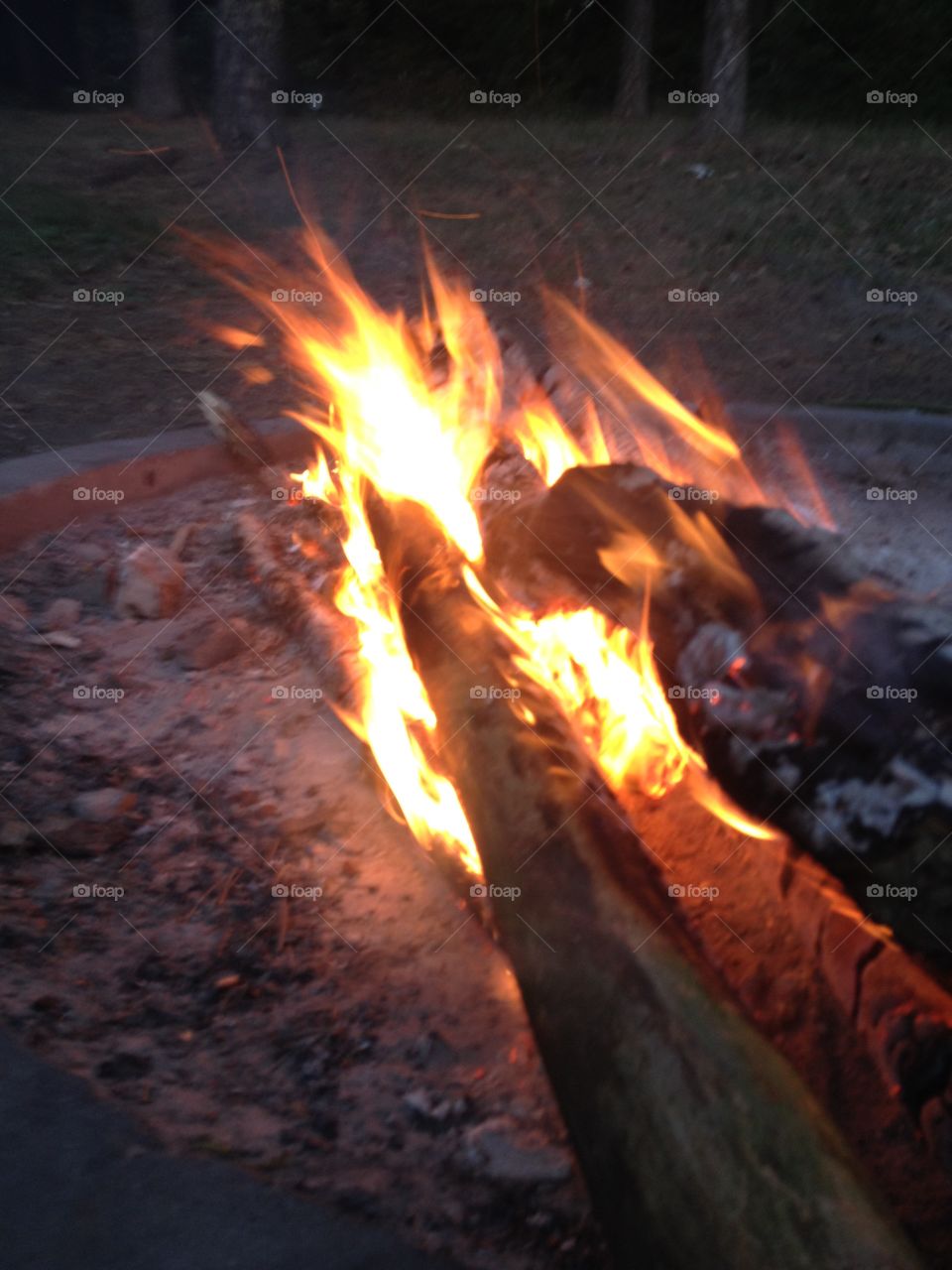 flames on the campfire with visible wood logs from the forest