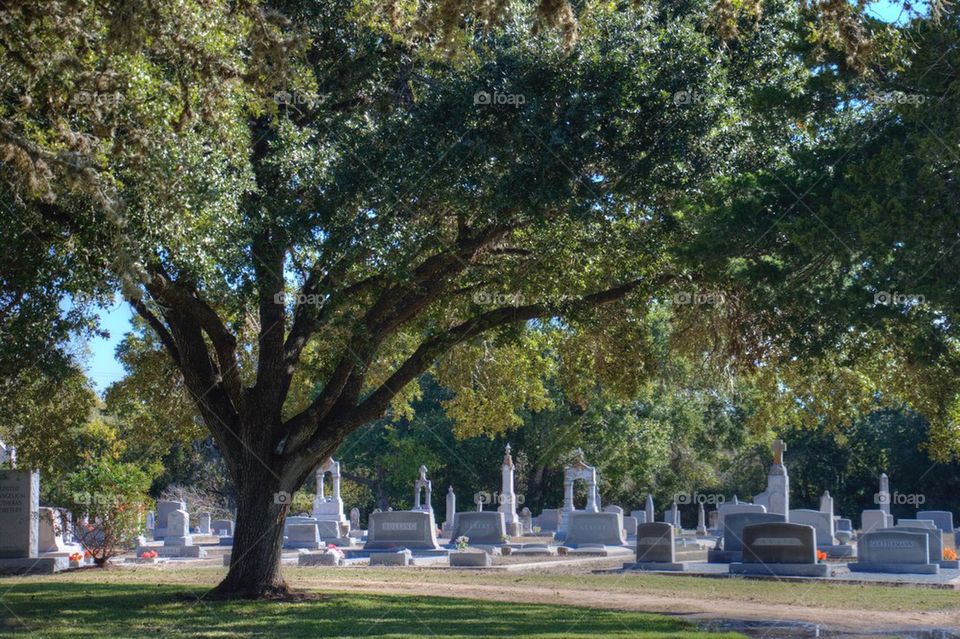 Country Cemetery