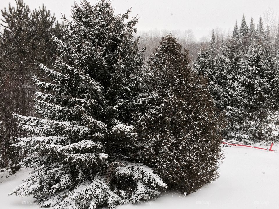 Winter is starting, had to get the first snow 📸 in shot.