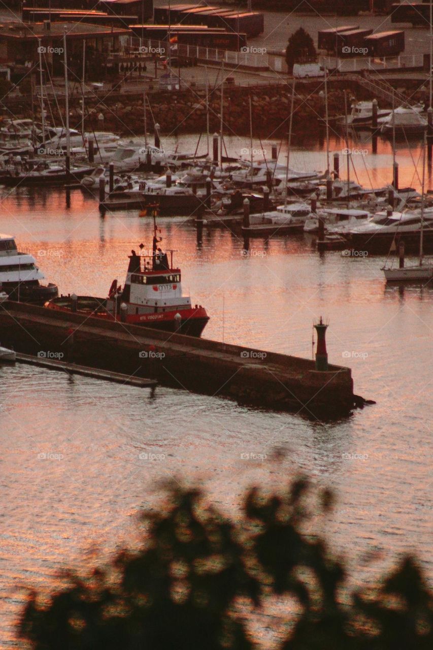 dawn in harbor