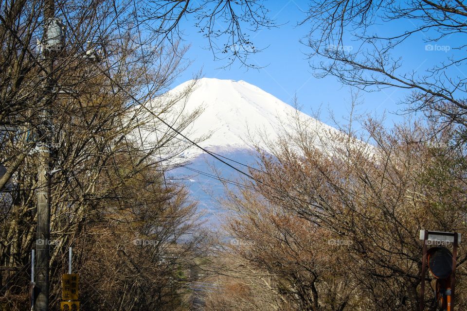 Me.Fuji San
