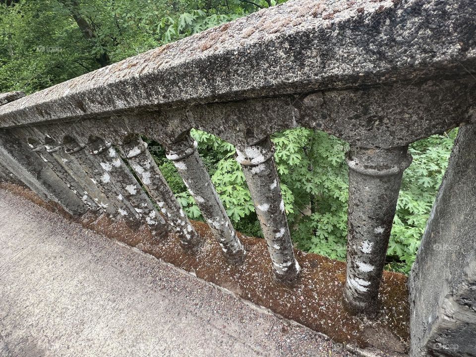 Lichen on bridge rail 