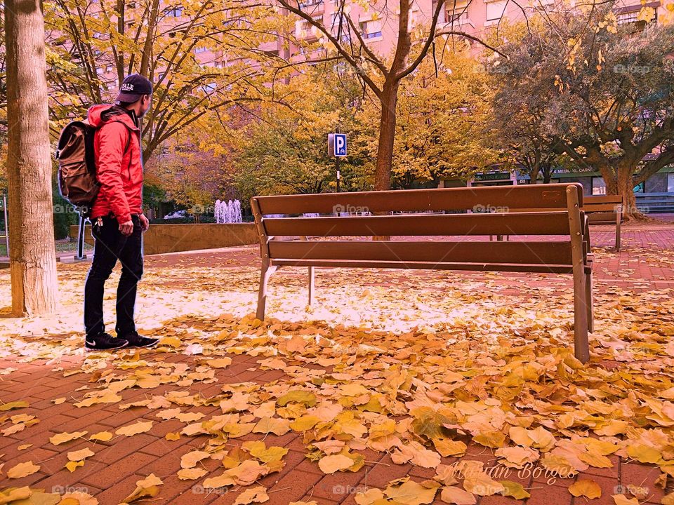 Chico con su mochila paseando por el parque en otoño