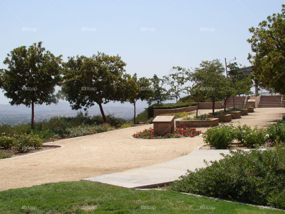 Flag hill park