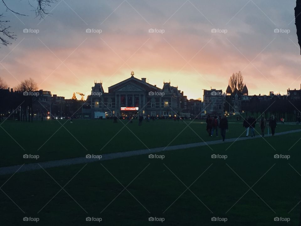 Sunset on the field 📀