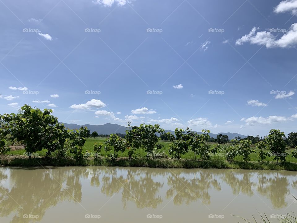 Light and shadow, Countryside (Thailand)