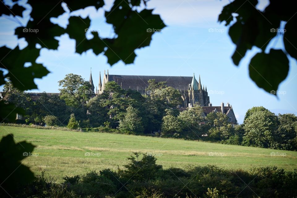 Lancing College through the trees