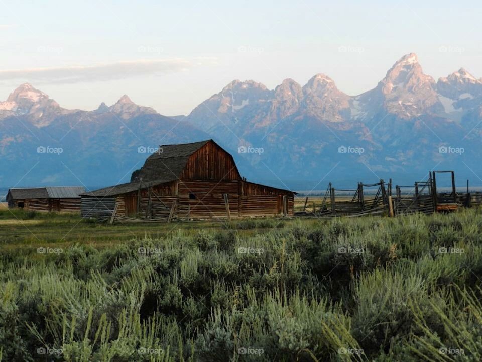 Barn with Tetons in background