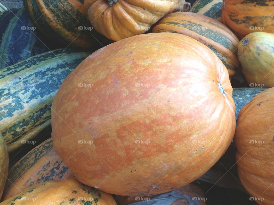 pile of ripe pumpkins