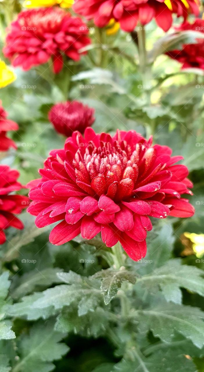 Editors' Choice: Photo of the week