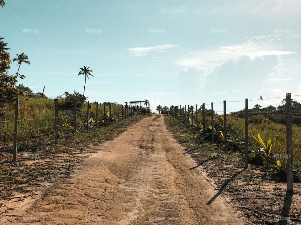 Cumuruxatiba Bahia brazil 🇧🇷