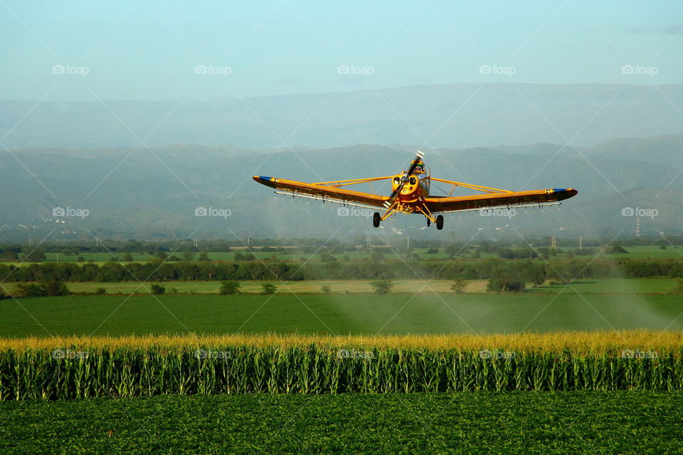 plane making fumigation