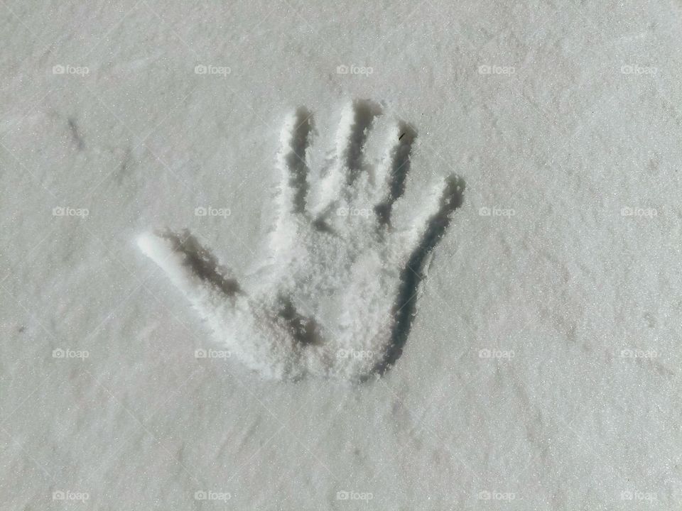 Snow Print