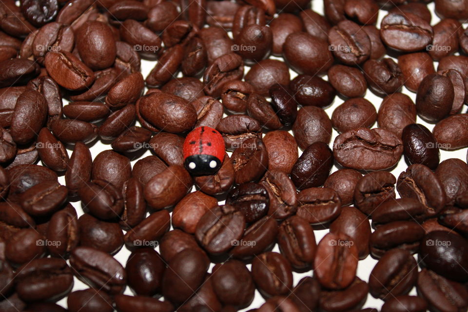 ☕🐞