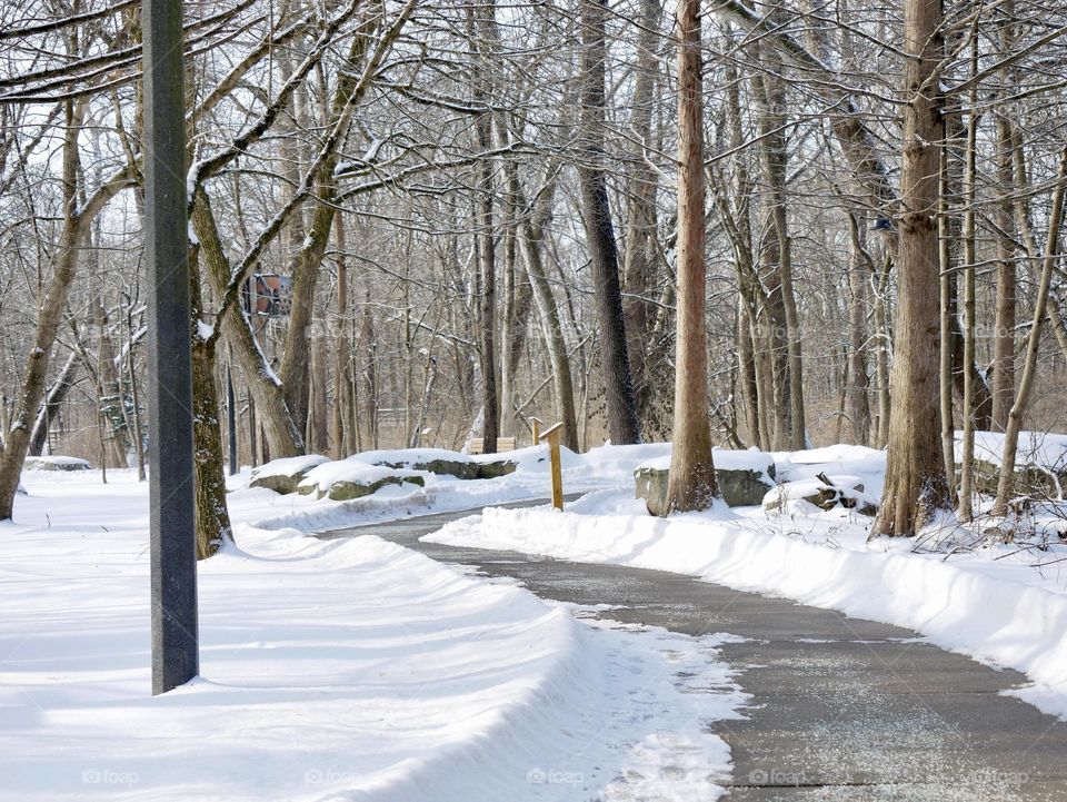 A quiet winter walk through the woods, in a local park. Few people are out and about.