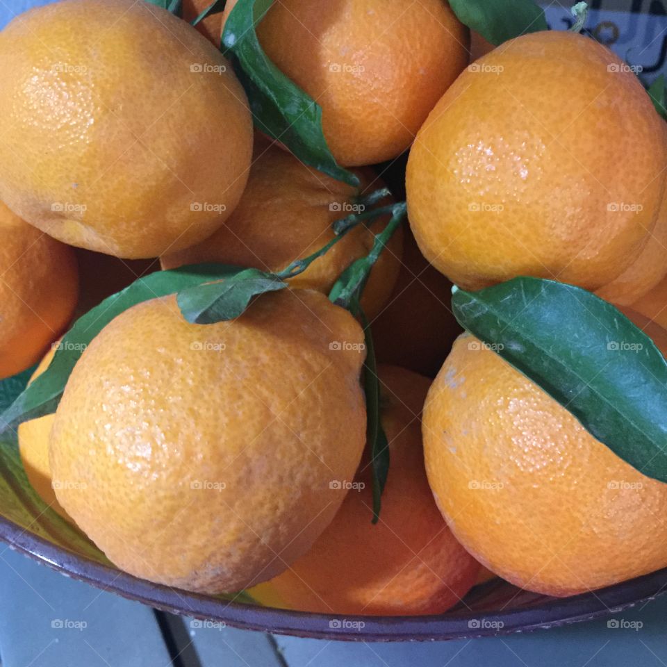 Oranges Morocco 