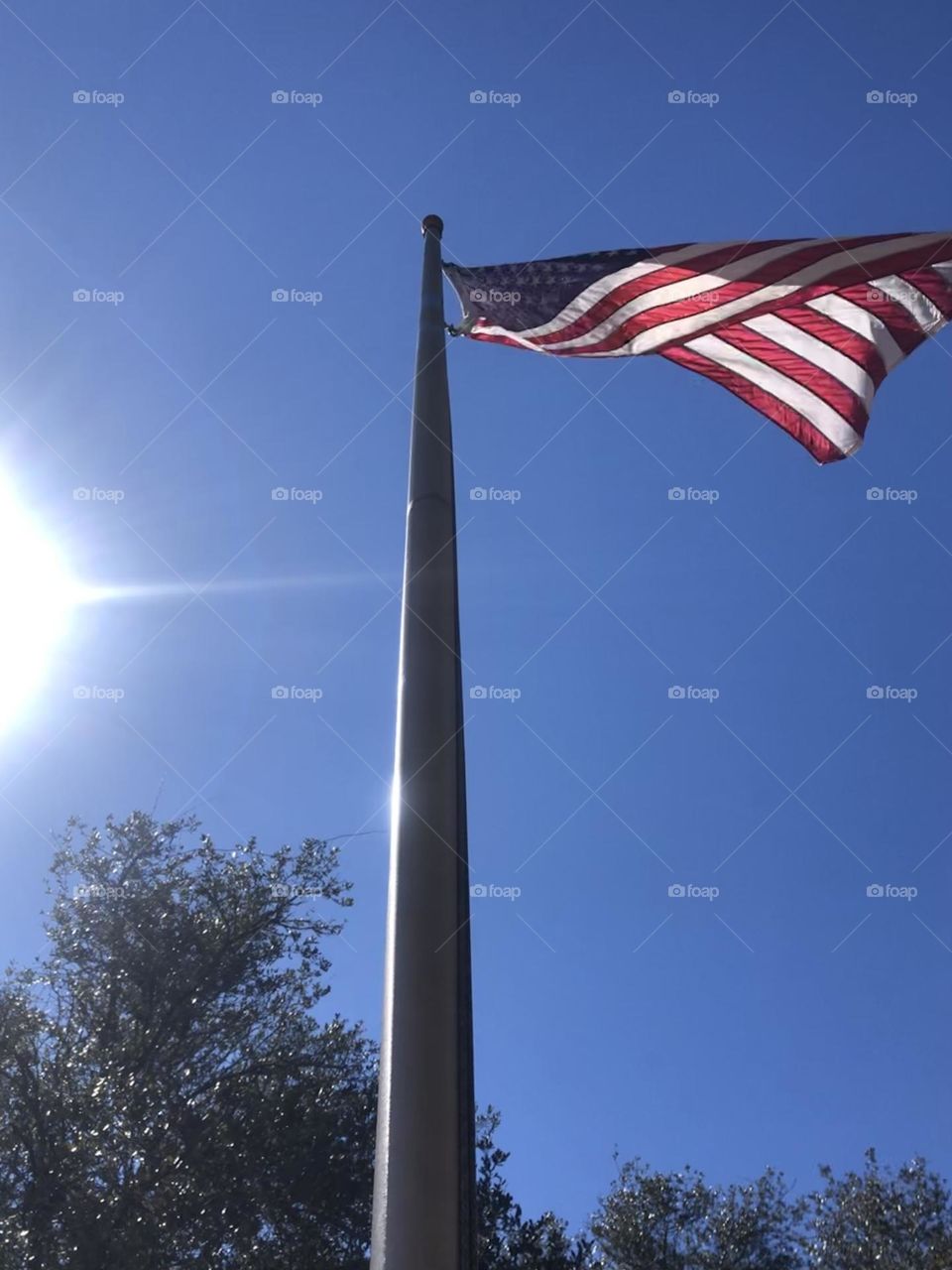 From the ground up! Our flag stands tall on a windy day here on the ranch, with the sun shining in all its glory!