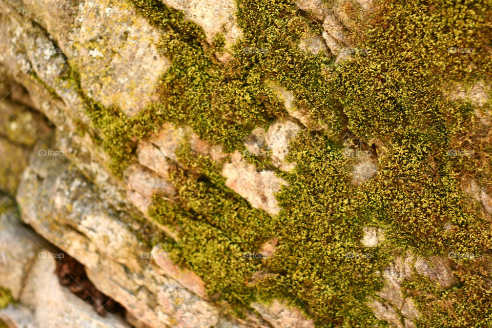 nature outdoors hiking rock by lmtrent