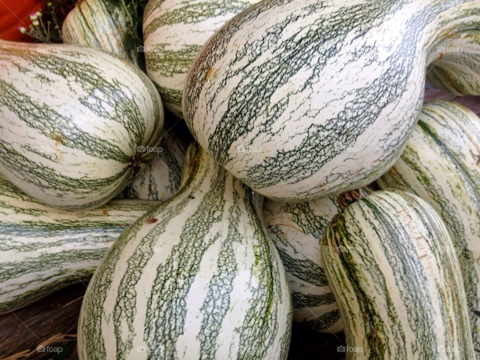 october fall autumn pumpkin by vickikl3