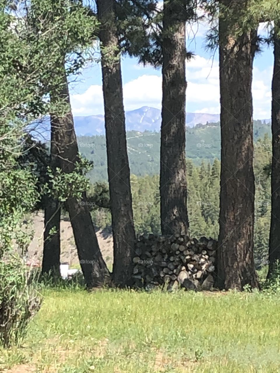 Wood pile with mountain backdrop