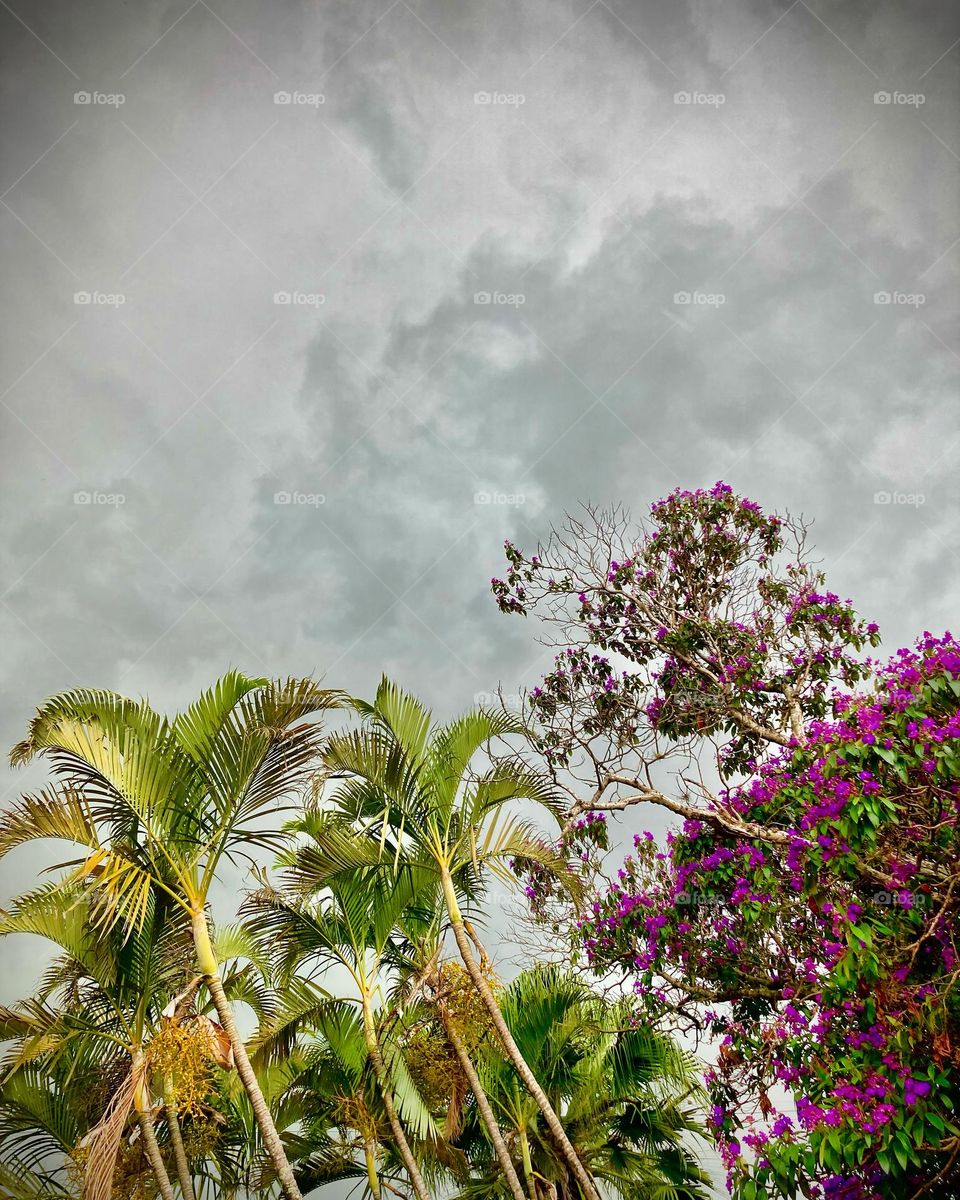 E depois da volumosa chuva, tudo azul no infinito!
Ainda assim, tudo muito bonito lá fora.
📸
#FOTOGRAFIAéNOSSOhobby
#sky #céu #natureza #horizonte #fotografia #paisagem #landscapes #inspiração #mobgrafia #XôStress #nuvens #clouds