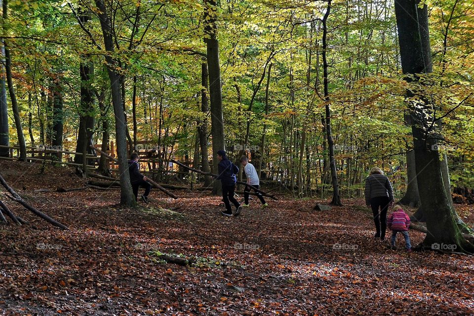 Running around in the Woods