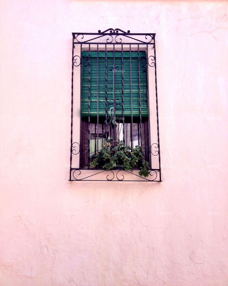 Window on pink wall