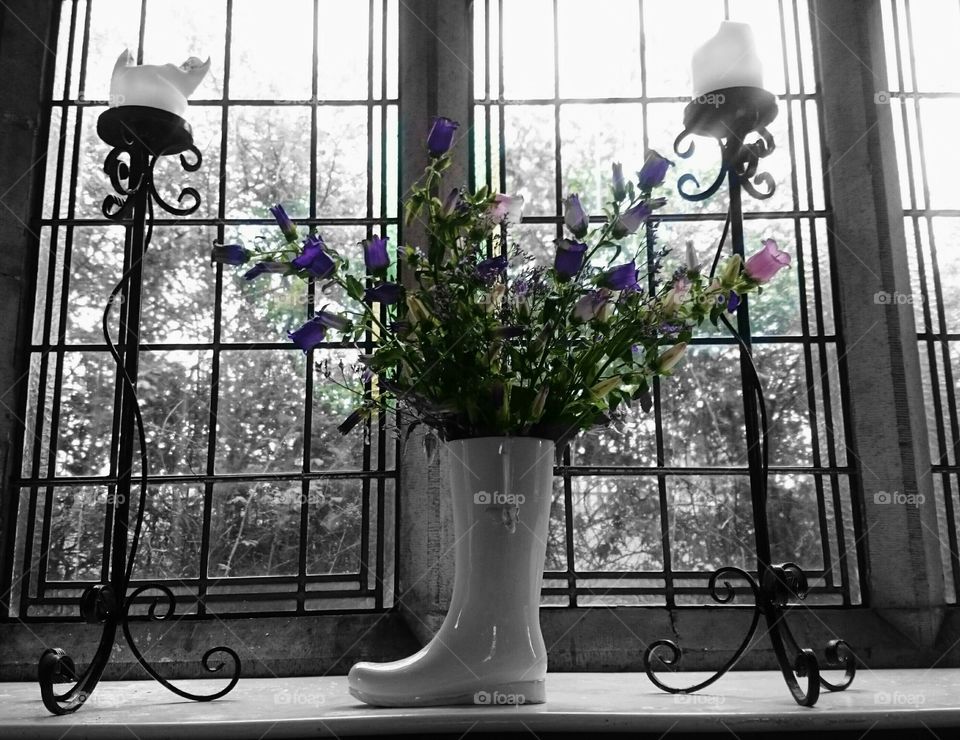 Window, Flower, House, Flora, Pot