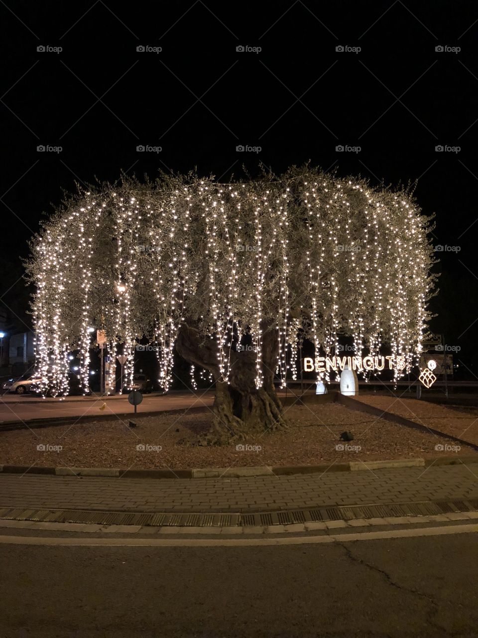 Tree with Xmas Lights 
