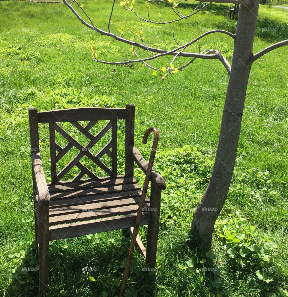 Country chair with cane