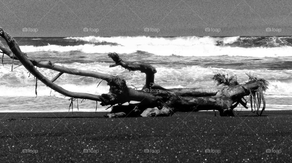 Well big piece of drifting wood on Balinese beach after heavy storm a week before the tsunami in Sulawesi happened...