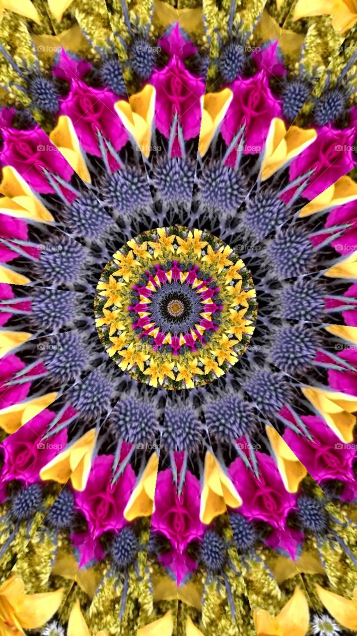 Flowers from the Whole Foods Market at the Domain in Austin Texas kaleidoscope