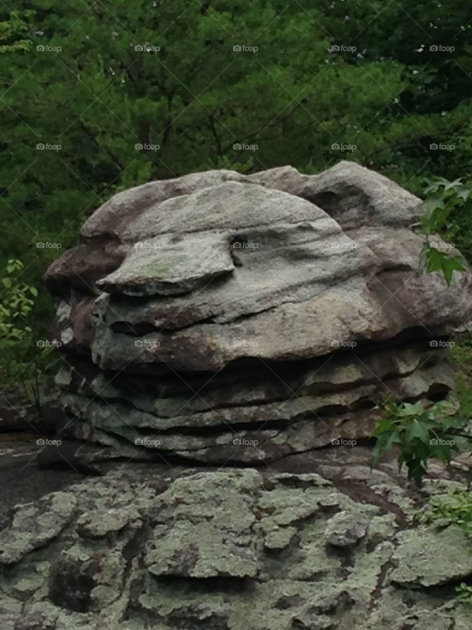 Turtle Rock 