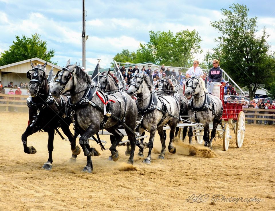 Canfield Fair in Ohio